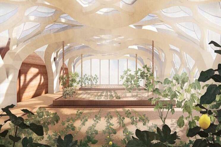 Inflatable bamboo greenhouses for sustainable farming