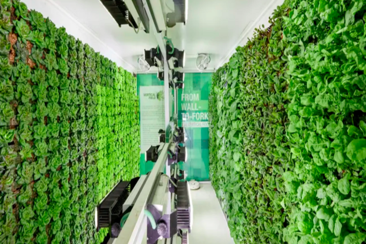 Israeli start-up makes vertical farms to grow crops