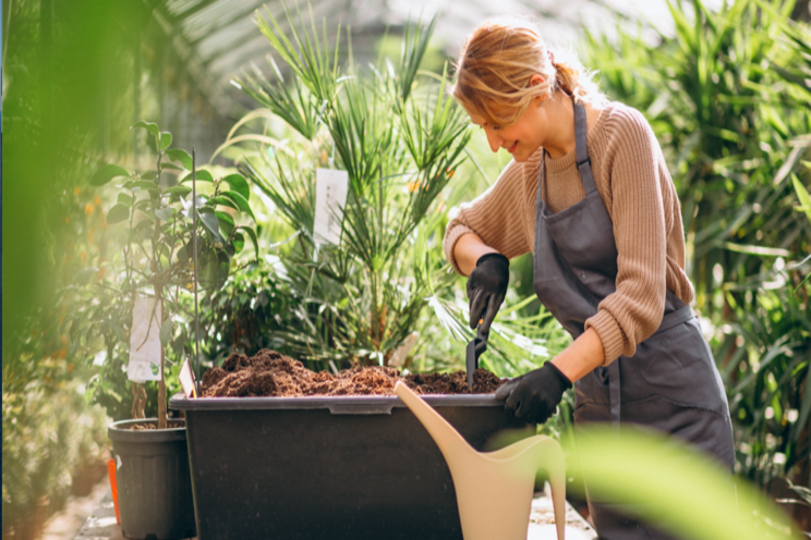 Navigate your greenhouse business succession plan