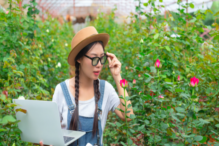 Root profiles to learn for rose growers