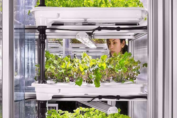 Vertical farming grow beyond herbs