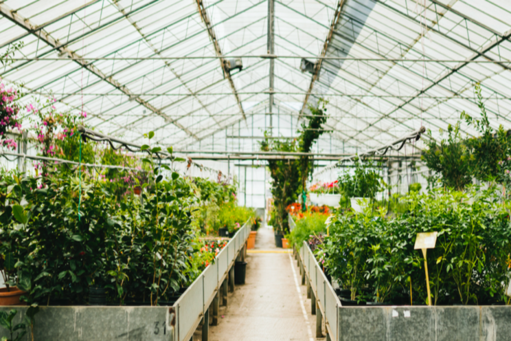 New greenhouse can move ahead