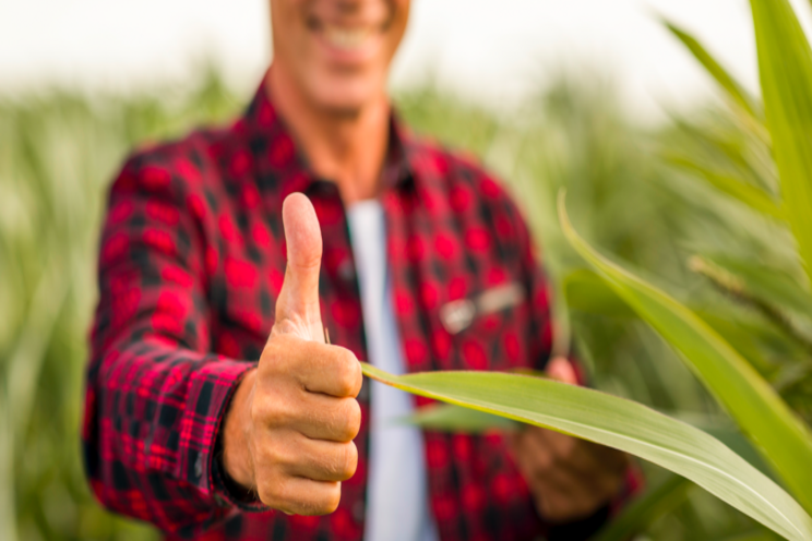 The first bio-based granular fertilizer