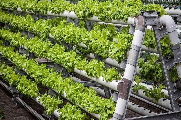 Vertical farming goes high-tech and underground