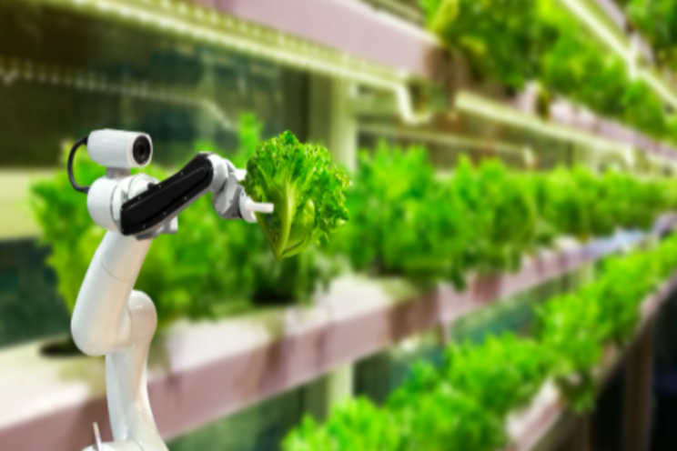 Whole Foods UK to install vertical farming units