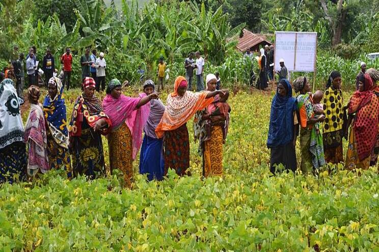 The global food challenge and the many-headed monster