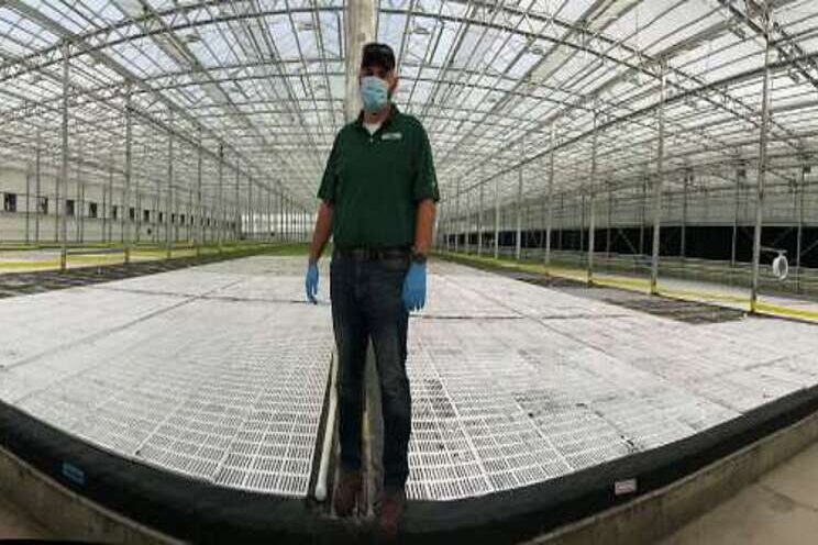 Growth in indoor farming business boosted by COVID-19