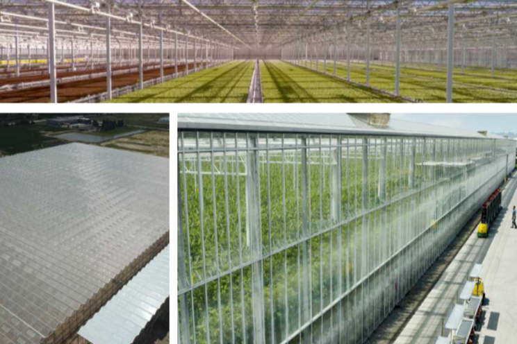 Recent expansion projects in the greenhouse market