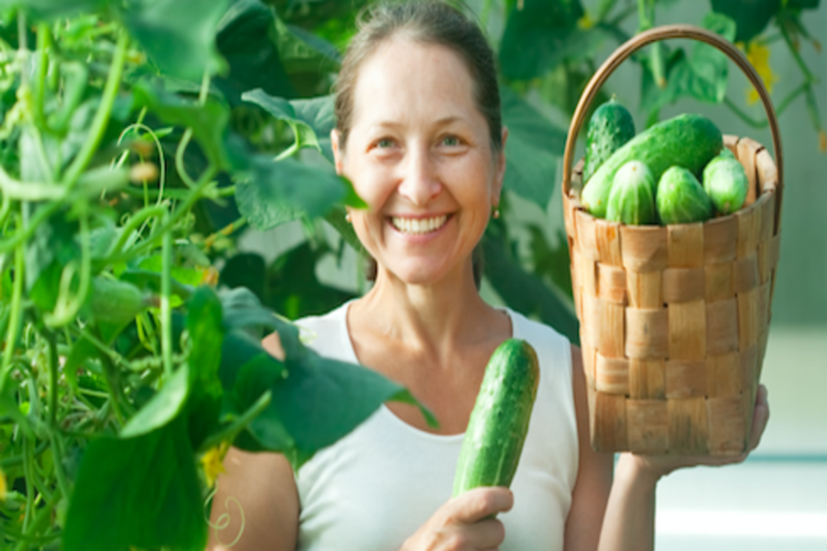 New resistance to cucumber mosaic virus 