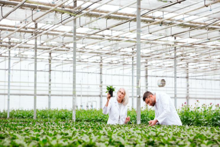 Oreon supplies led fixtures to Russia for greenhouses