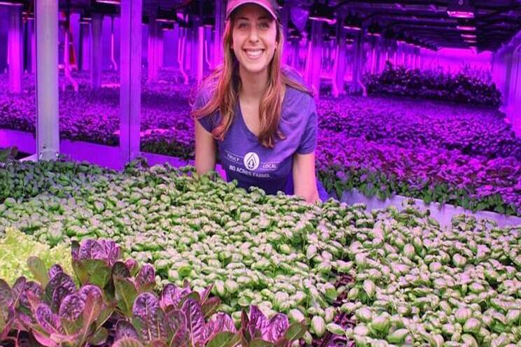 Changing the face of vertical farming