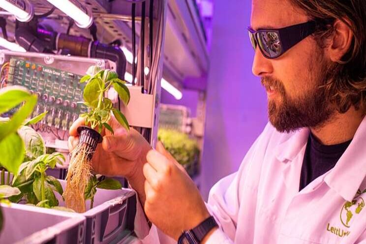 High hopes for UK vertical farming startup