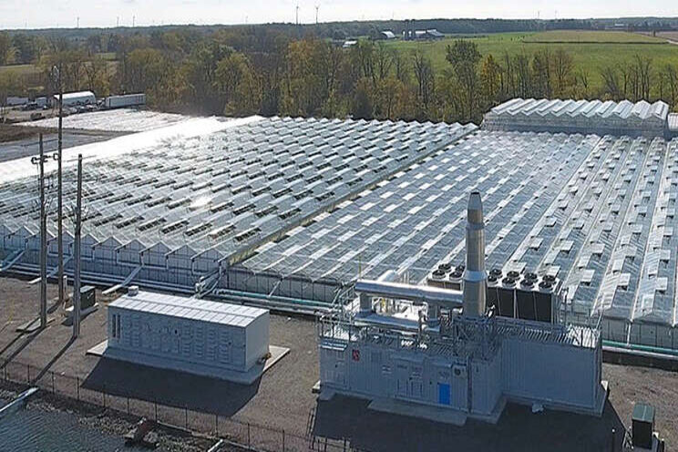 The next level of greenhouse cogeneration