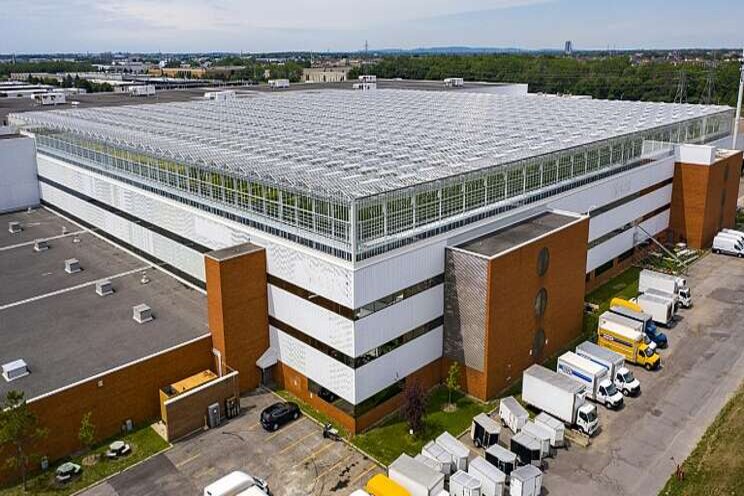 World's biggest rooftop greenhouse opens