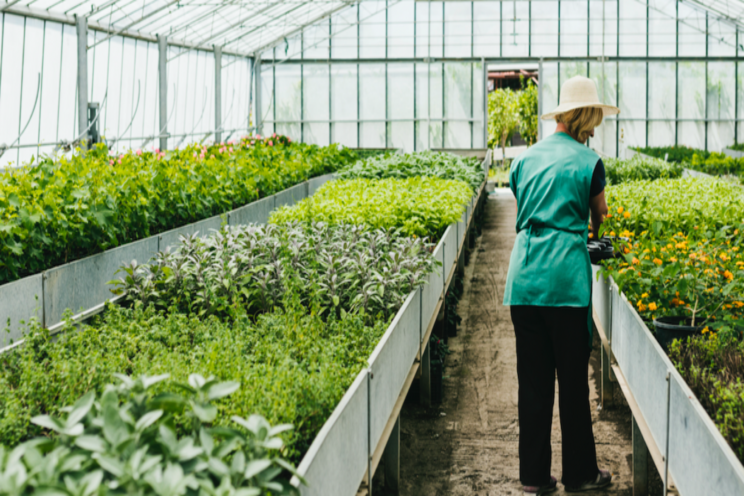 5 tips for temperature control in your growing environment