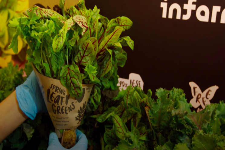 Selfridges to grow fresh produce with vertical farming units