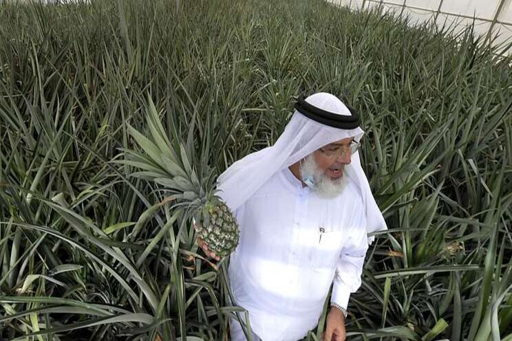 'Green revolution' in Dubai desert