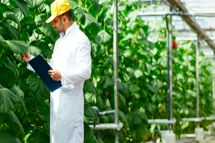 EU investment into US vegetable greenhouses