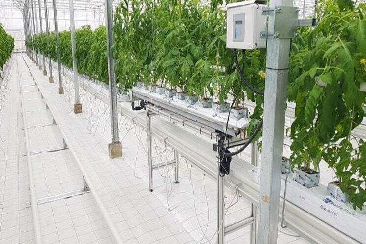 Greenhouse tech, the future is already here