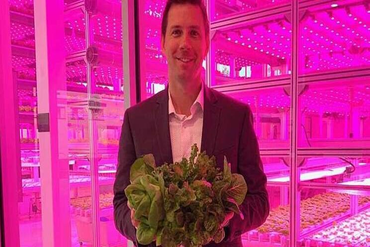 Tall lettuce farm to rise