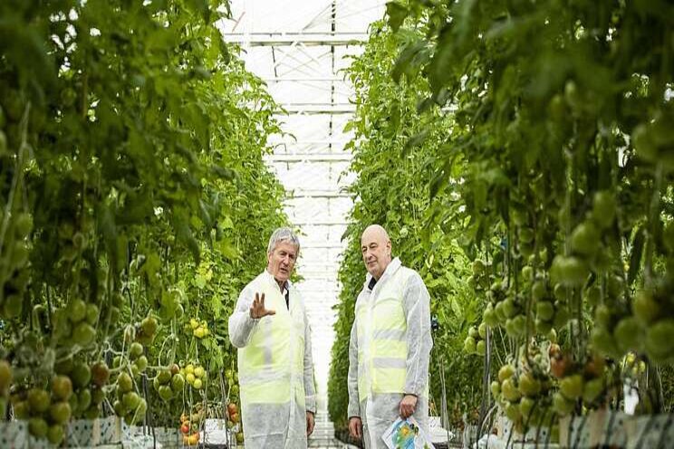 Horticulture aims to 'spearhead' post-Covid recovery