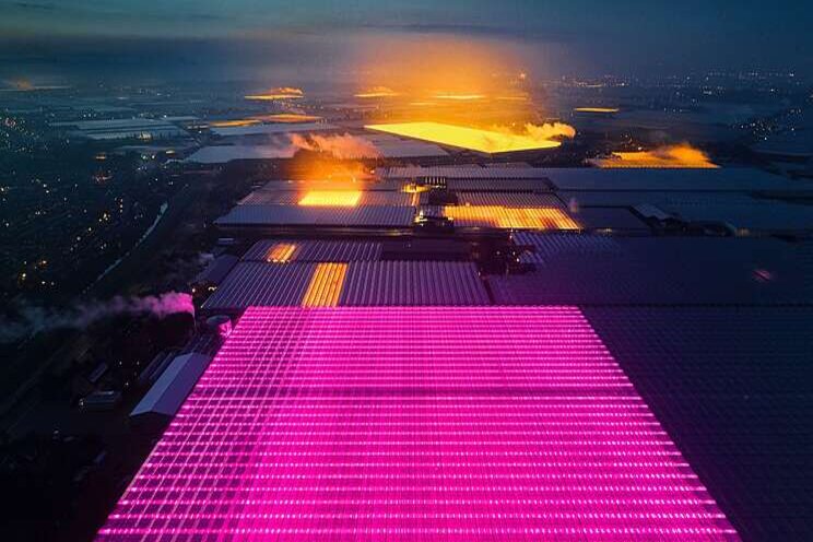 High-tech and colorful Dutch greenhouses