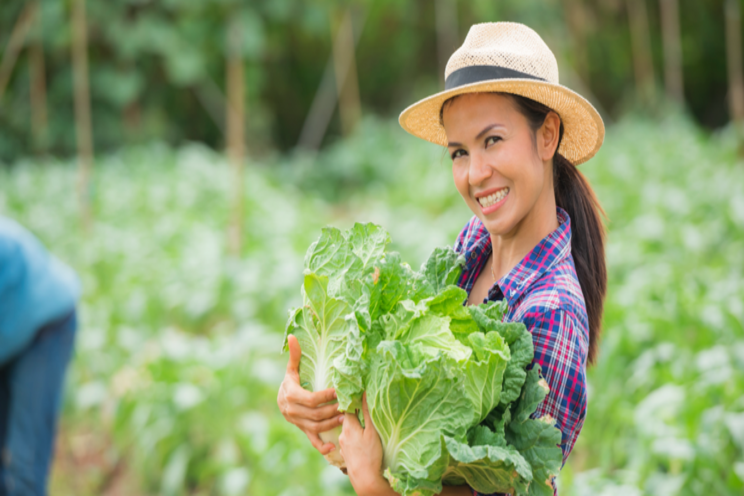 8 Israeli inventions for greener farming