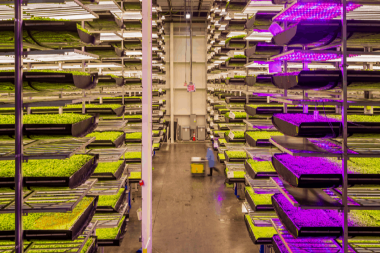 World's largest R&D indoor vertical farm