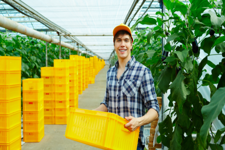 $4.2M rebate for province's 1st large-scale greenhouse