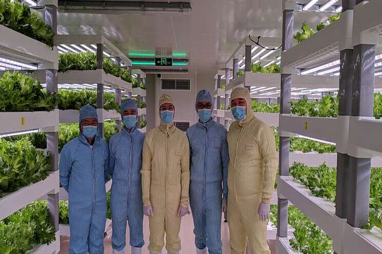 Future of indoor vertical farming with microgrids