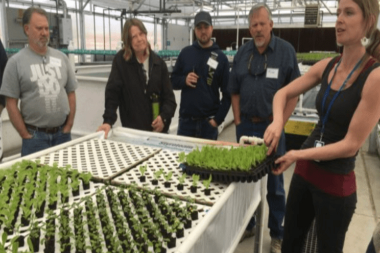 Aquaponic growers eligible for coronavirus assistance