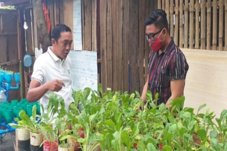 Urban farming gaining ground amid pandemic