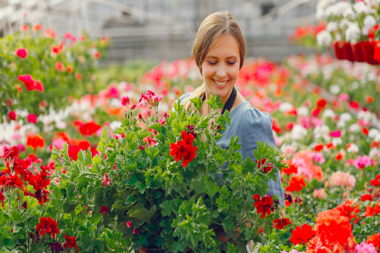 Take a look at America's first gardens