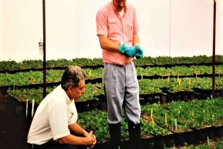 The horti legacy of Gary Falkenstein