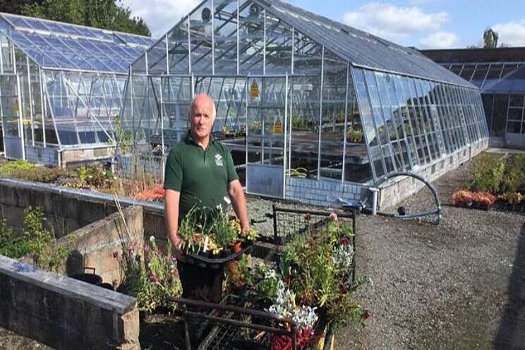 Elmwood plant sale raises funds for local causes