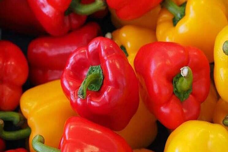 Sakata adds to bell pepper portfolio