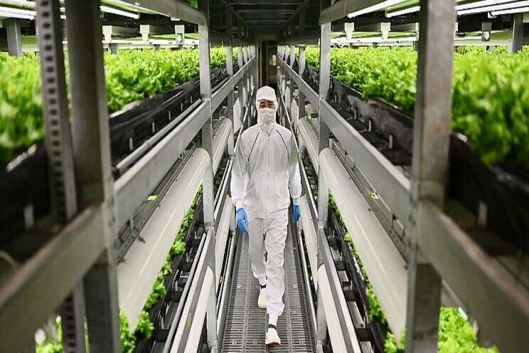 Vertical farming takes off in ageing Japan