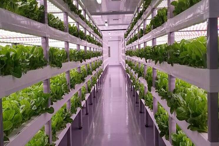 Building new ecosystems: The food tech revolution is here