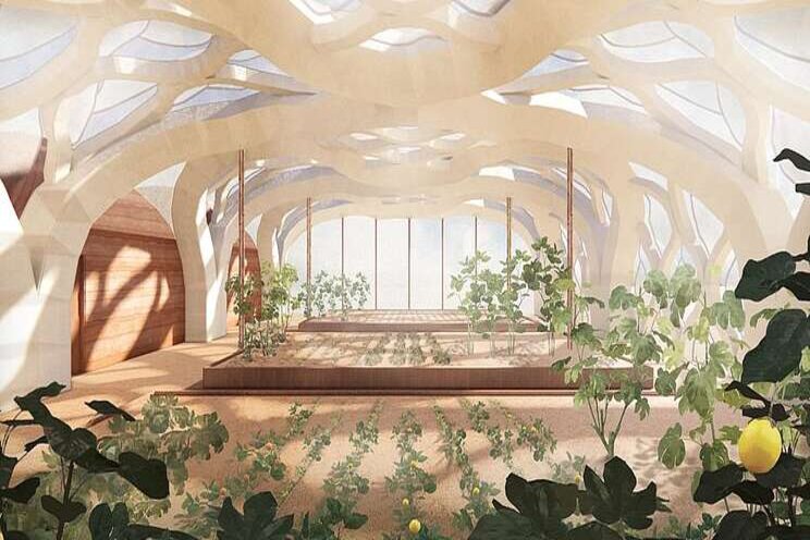 Origami-like greenhouses crafted from bamboo