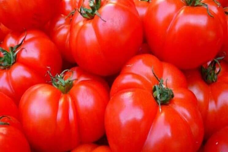 APHIS restricts imports of tomato, pepper due to ToBRFV