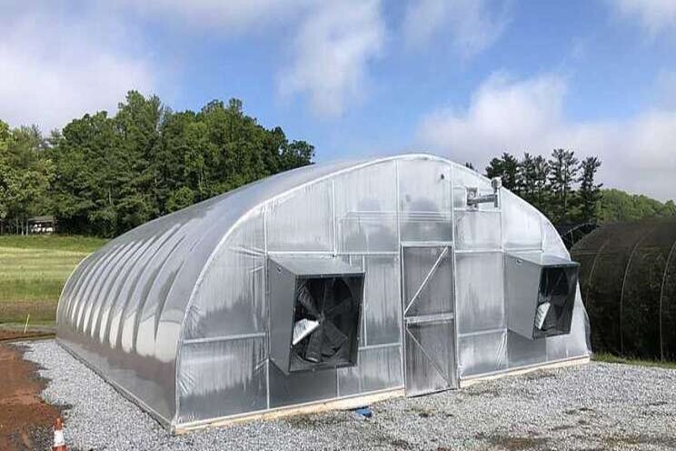 Big investment to boost tomato breeding