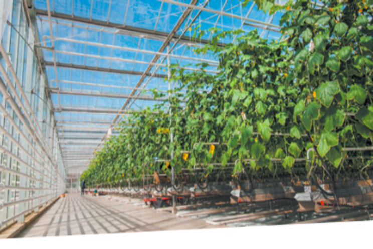 Global positioning standard for greenhouses