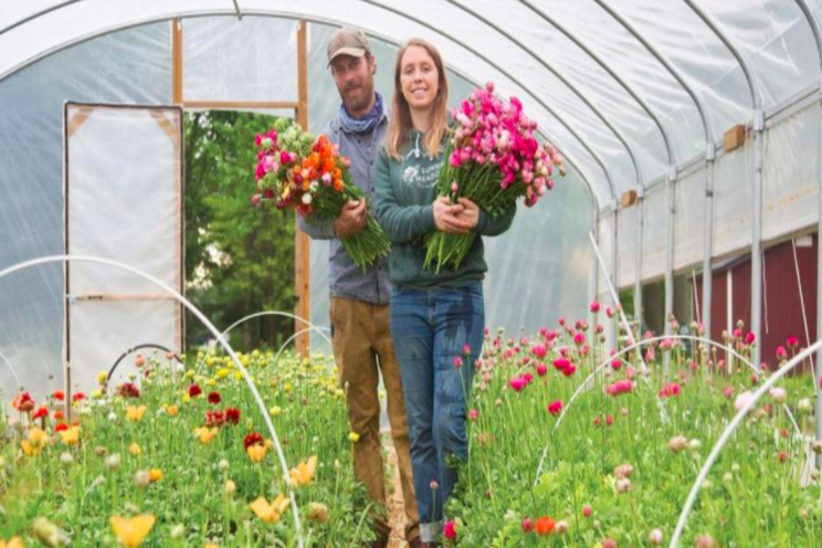 Flower farms happy to delight the pandemic-weary