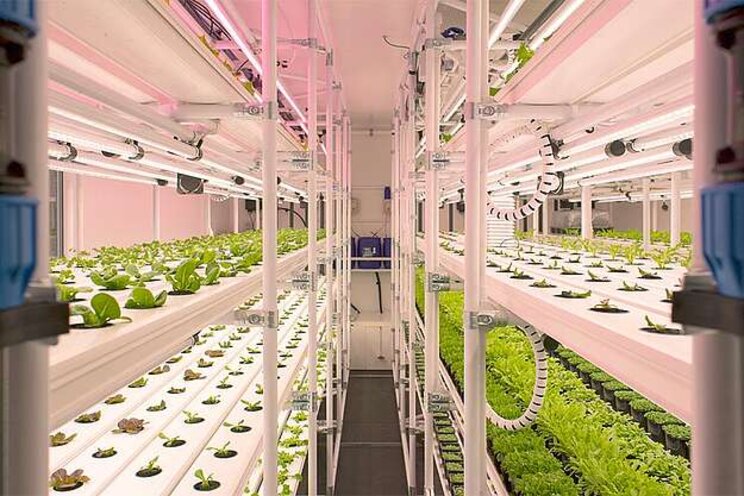 New merger to be Europe's largest Hydroponic distributor