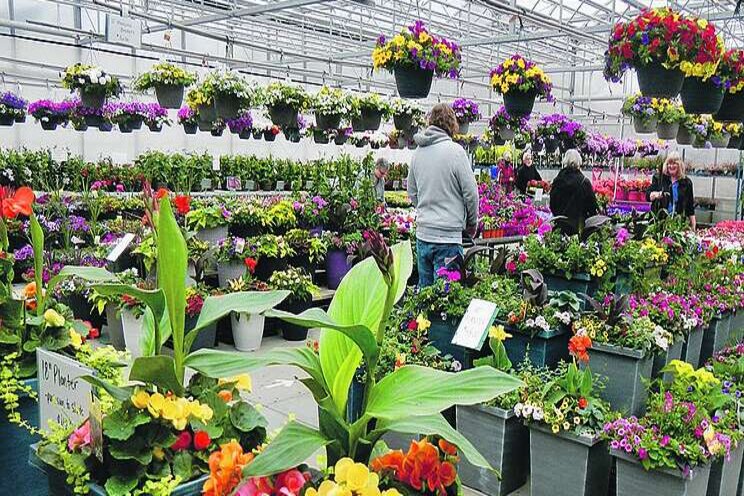 New COVID behaviour hikes greenhouse sales