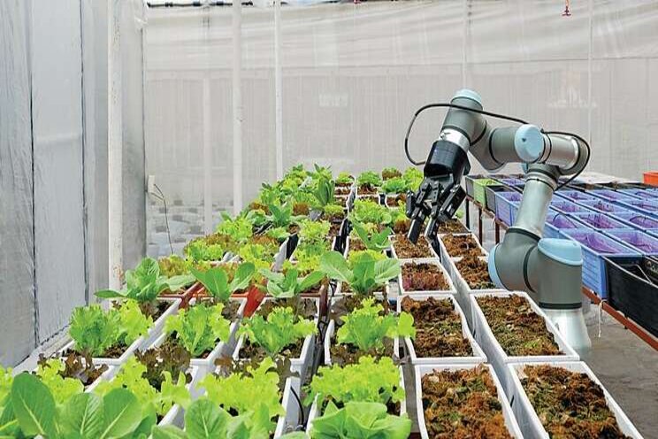 Enhanced robotics in food production