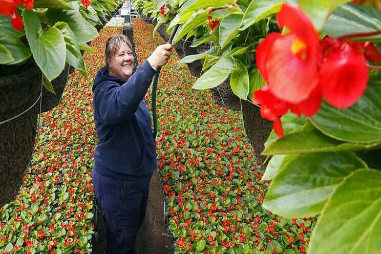 City gardeners working hard behind the scenes