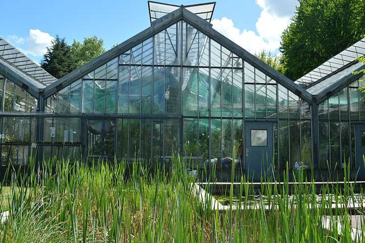 Huge greenhouse on sale for half of asking price