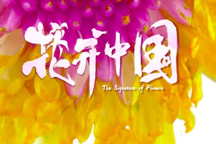 China's first horti documentary