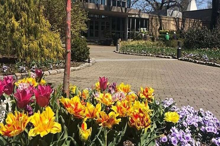 Memphis Botanic Gardens reopens 